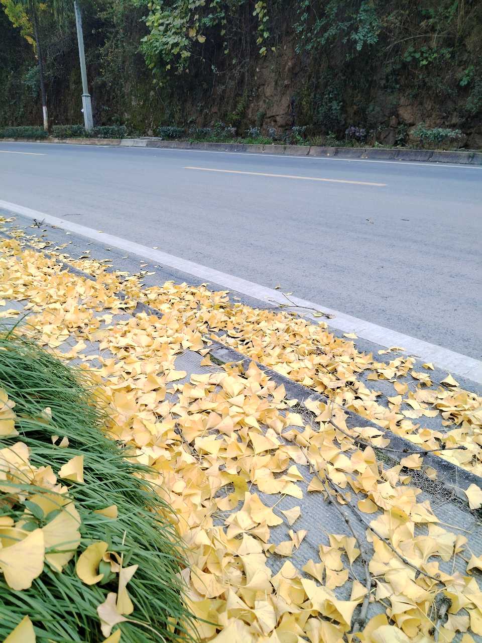 文学鸡肋（图3）