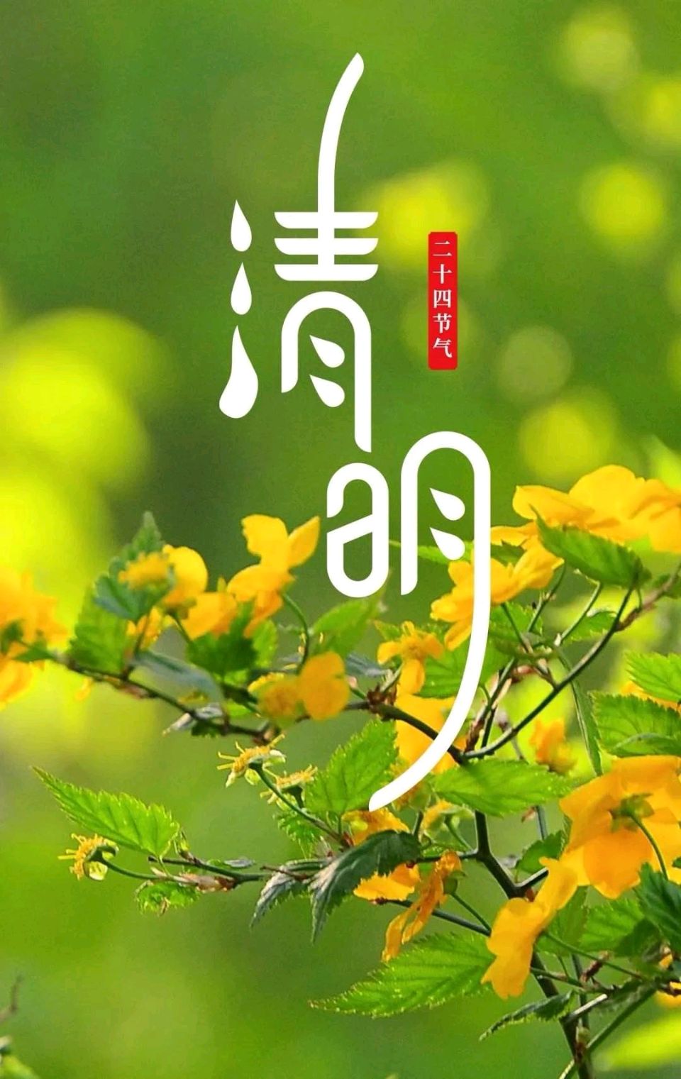 【荣耀中国】深圳分社*念奴娇.丙午清明田庆瑞（图2）