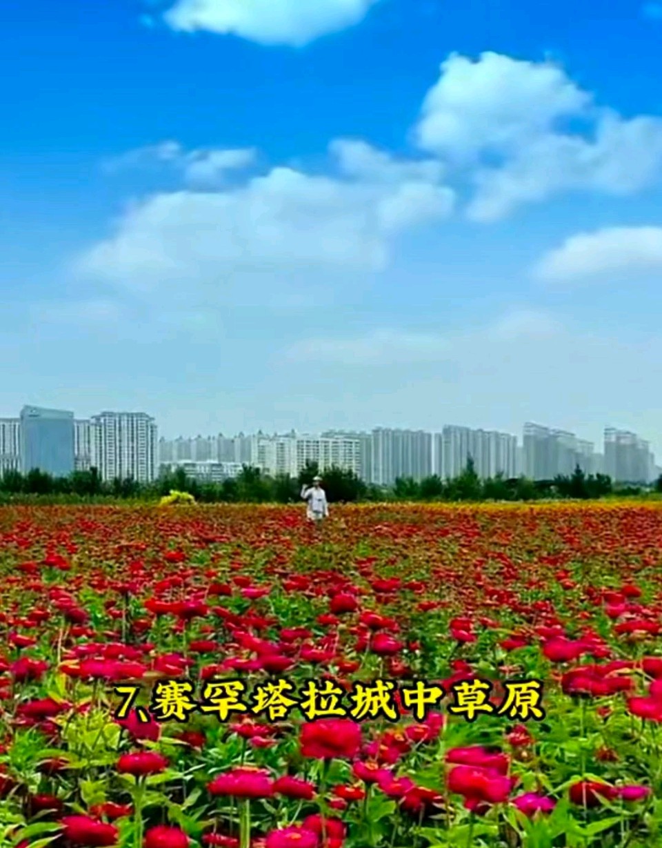 【中国诗人】文坛*诗词命题的一般要求和误区 文 / 王楼（图4）