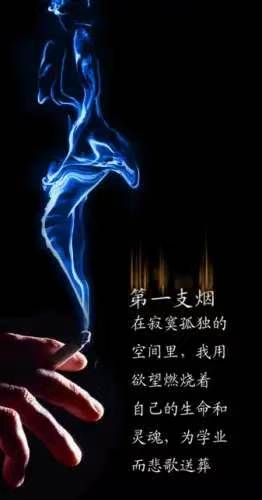 ［诗体小说《诗烟》全版修改版］（作者：张有清）……莲叶之珠文学社