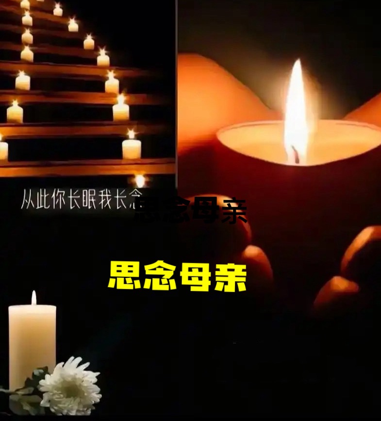 【清明猎韵】赏析陈国栋先生《阮郎归．清明思母》