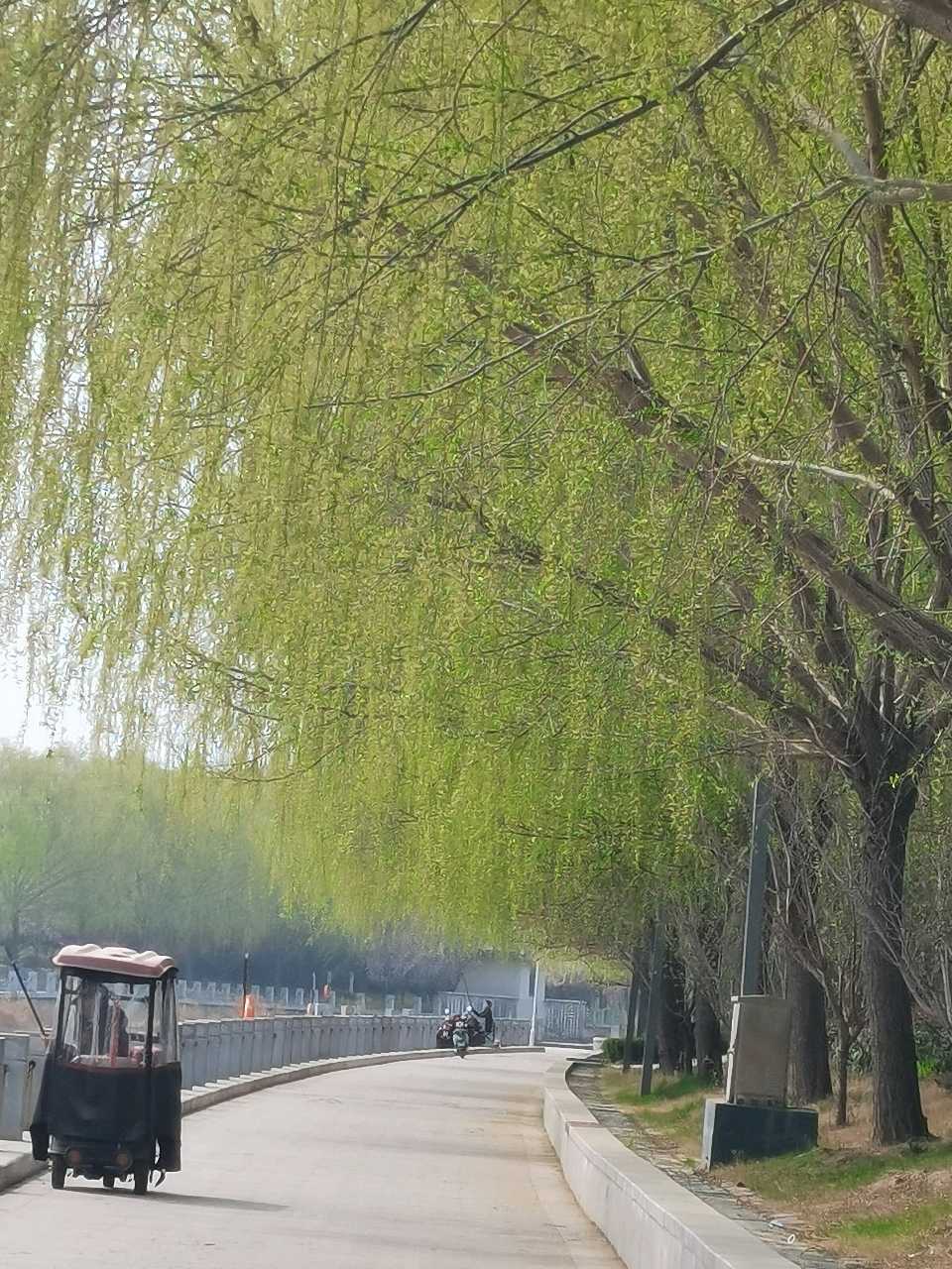 自由体《与旧时光和解》外一首文/郑金波