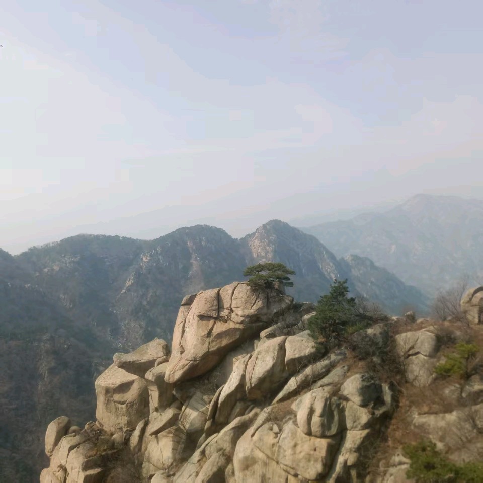【荣耀中国】文学社*七言排律 丙午年仲春登蒙阴云蒙山有寄作者/周效仁（山东临沂）（图6）