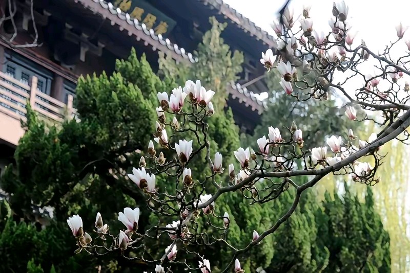 《当代诗词原创作品管泽富创作当代诗词二首》作者：管泽富 [中国现代诗歌文化传媒]（图6）