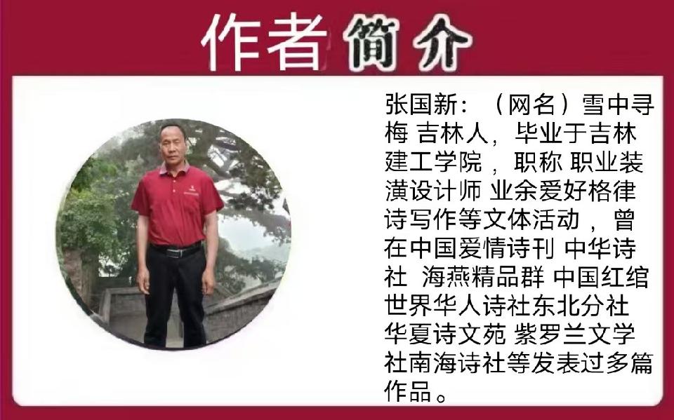 《张国新作品欣赏》主编/胡琴