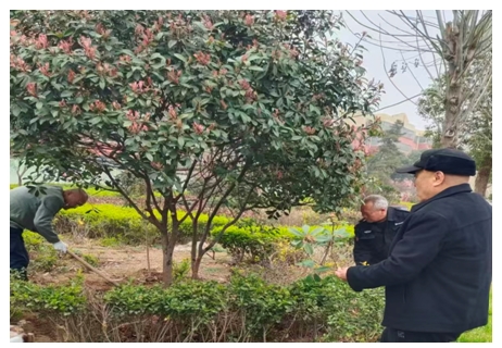 微信截图_20260401083422 微信截图_20260401083422