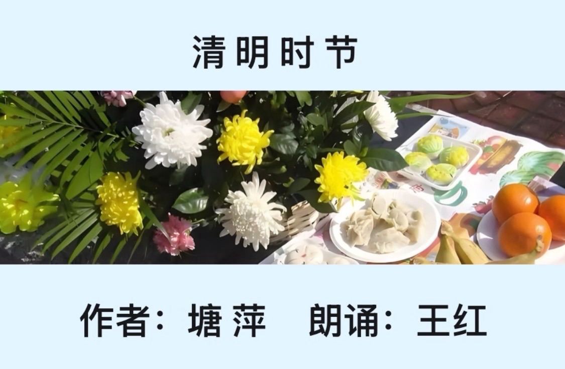 【清明专刊】清明时节｜作者：塘萍 朗诵：王红（总3193期）（图5）