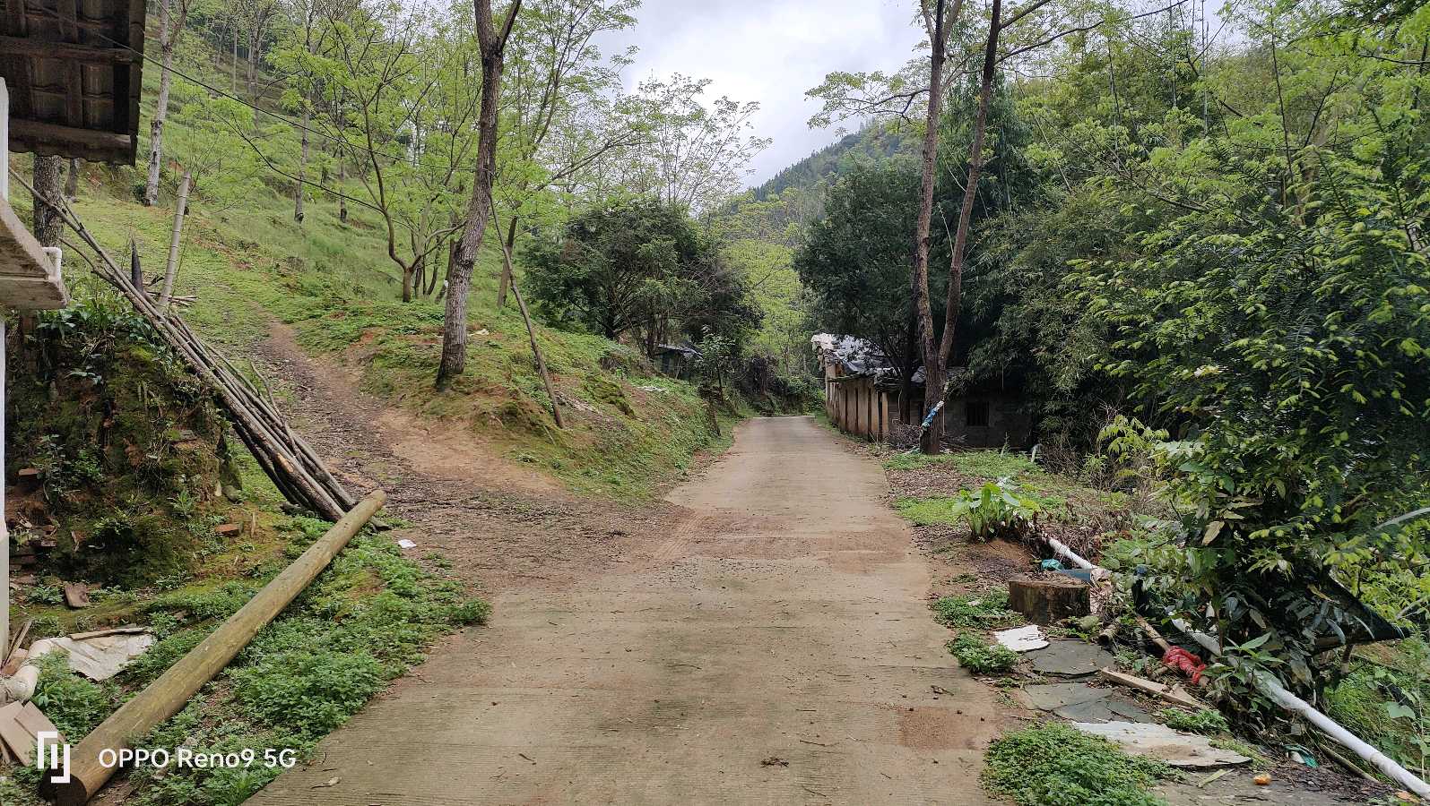 深圳作家陈晓武考察大余袁久禄酸枣糕基地，为“久禄枣糕”直销大湾区市场助力（图25）