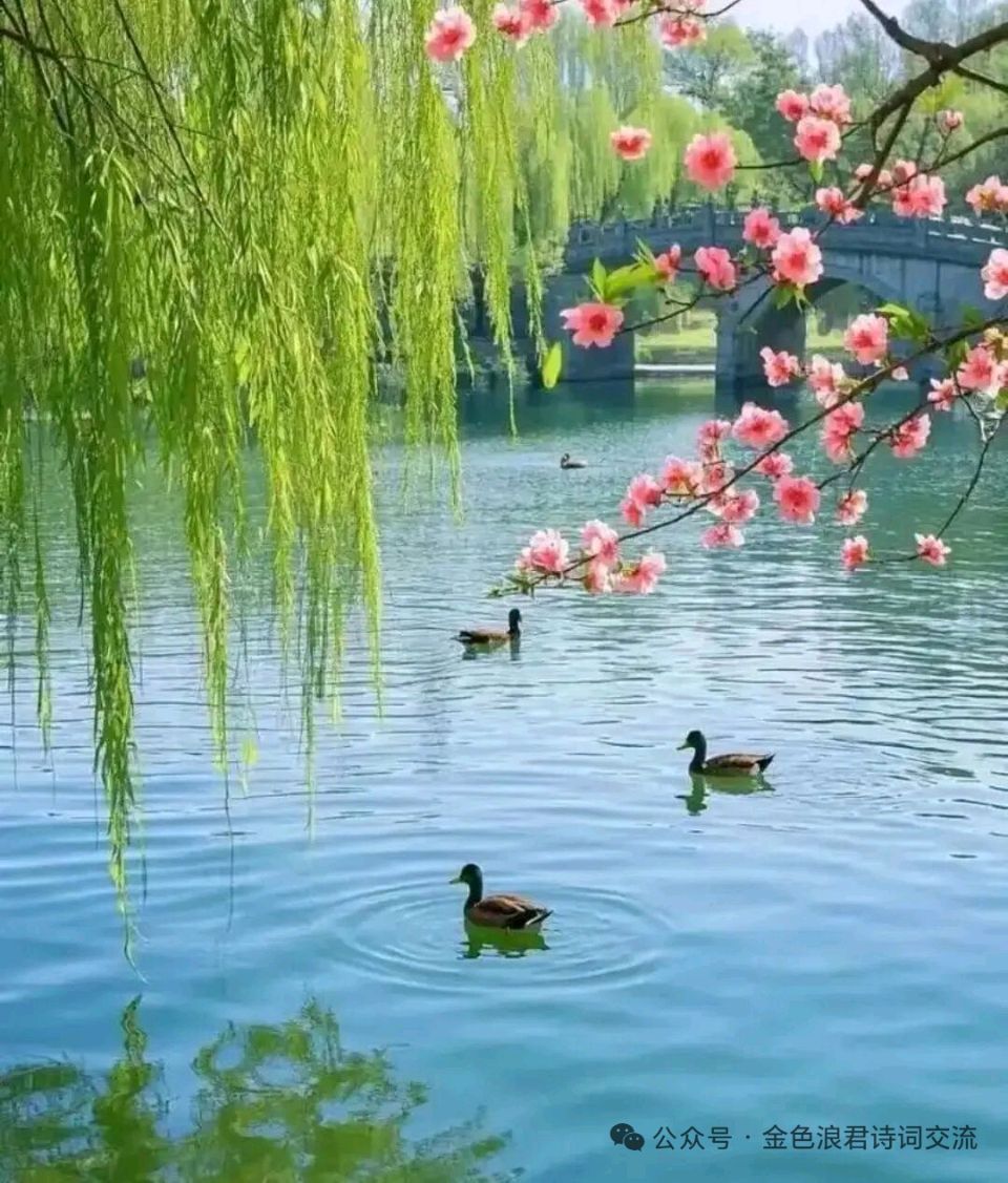 【神州源流诗苑】第1480期优秀近体诗周刊(图13)