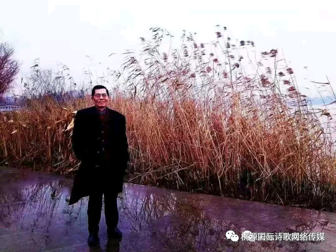 《体验》作者：林野/主播：青苗【桃源国际诗歌文化传媒】桃源*馨声（图9）
