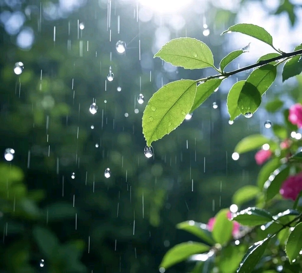 青山新雨 浣溪沙·风雨催春（图4）