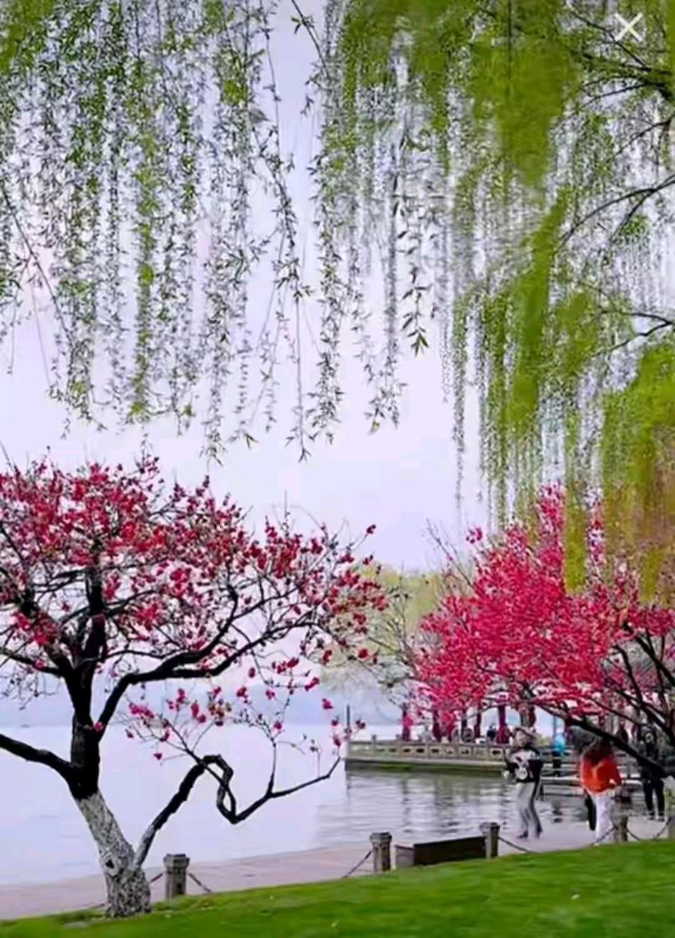 孙述考等作者及AI诗文十九篇……莲叶之珠文学社（图21）