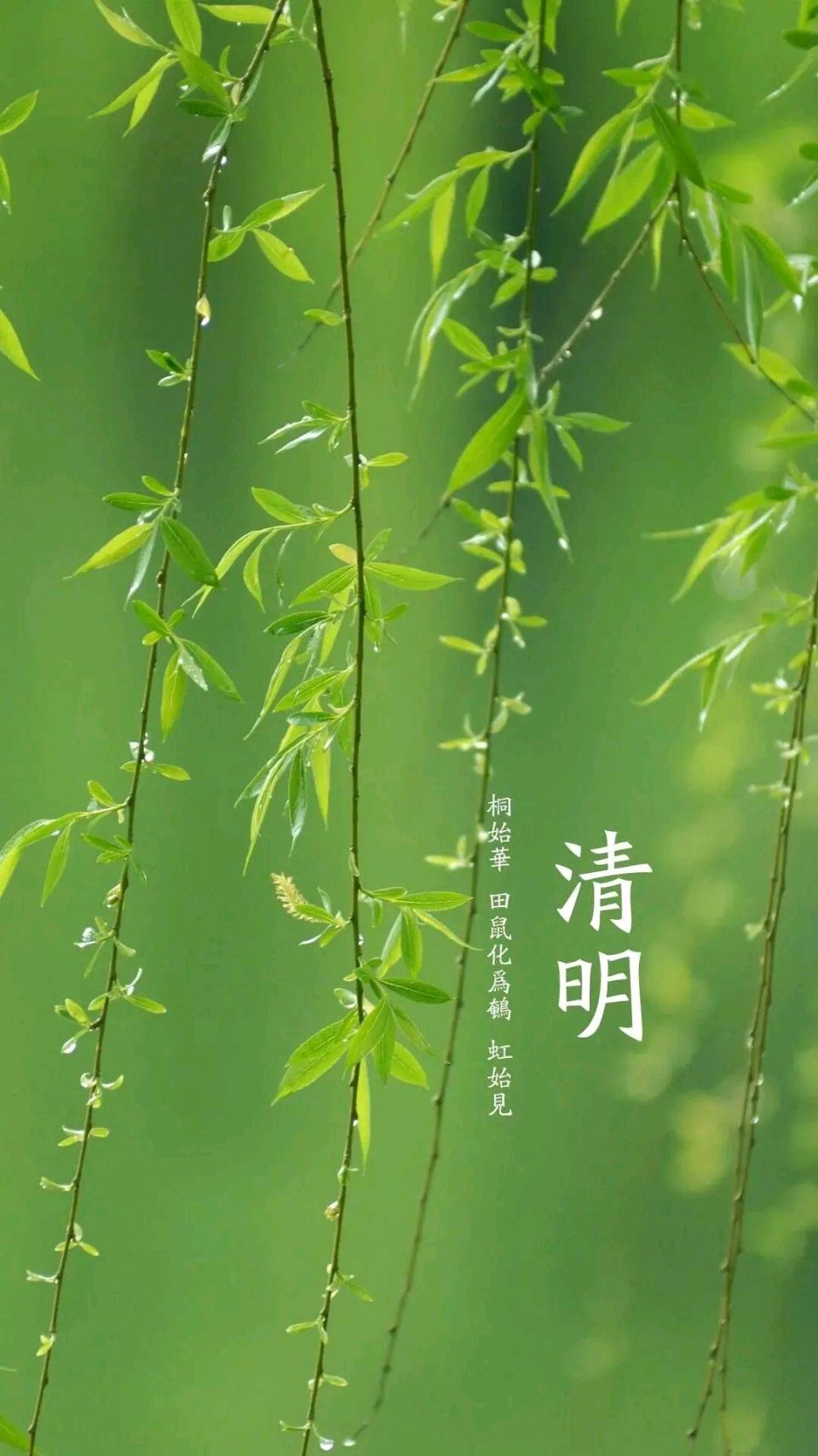孙文:《清明节国家公祭》(外四首)/中华诗艺社黑龙江分社推荐(2026第184期)（图6）