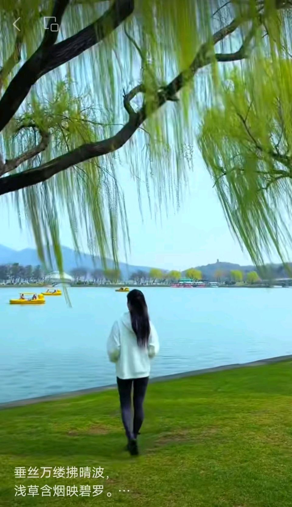 【荣耀中国】文学社*七律.春雨漫兴何筱燕(雨.湖南)（图3）