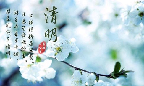 石家庄市藁城区诗词协会第111期同题诗：清明（图6）