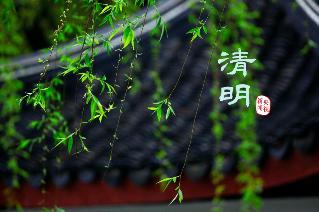 石家庄市藁城区诗词协会第111期同题诗：清明（图11）