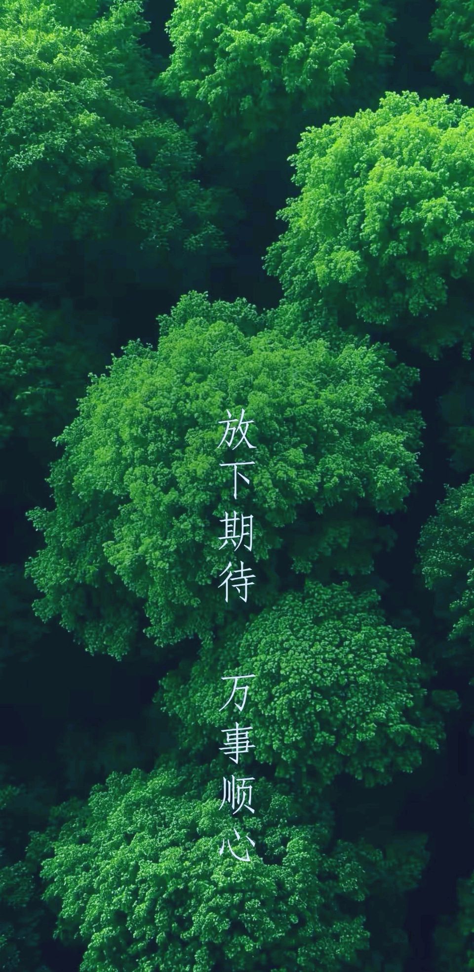 七言排律-感春～杨景儒（北京）（图17）