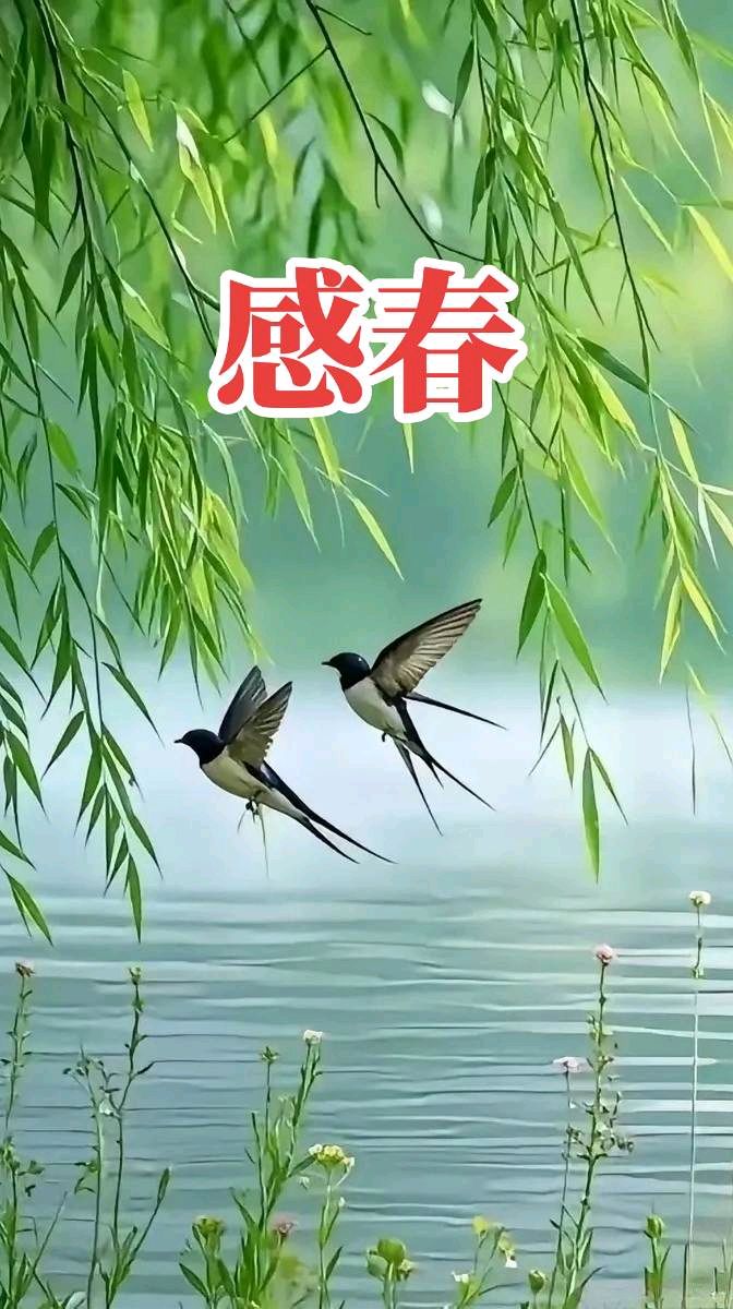七言排律-感春～杨景儒（北京）（图11）