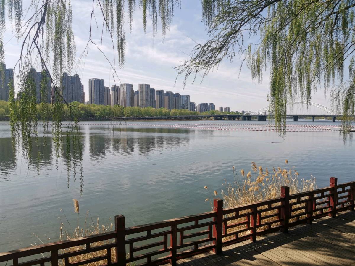 浣溪沙·浑河早春【中华新韵韩偓体】 作者:田淑荣（图2）
