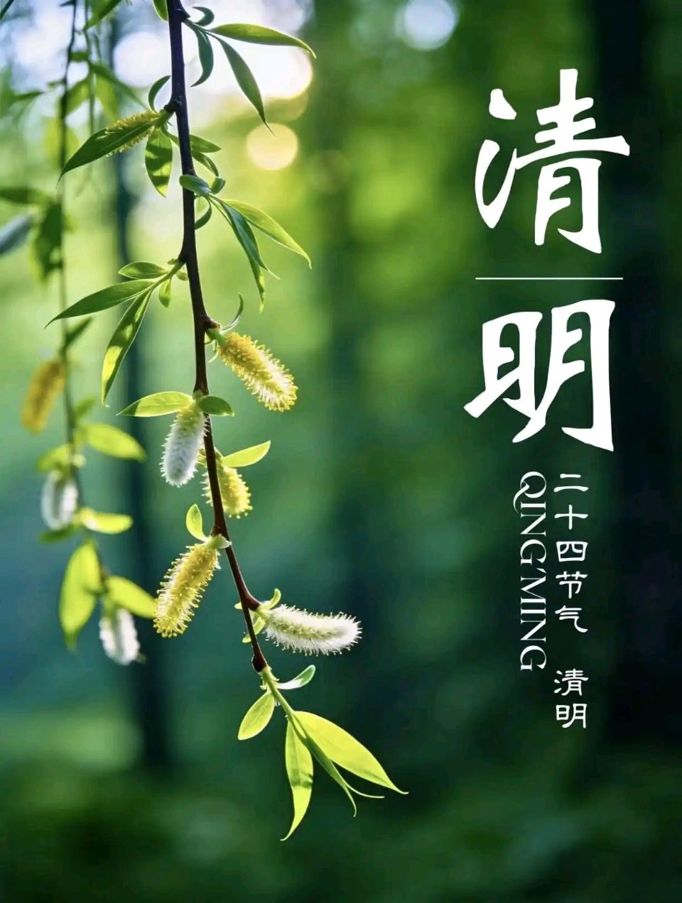 🇨🇳【思归客诗词学会】NO:5382（名家风采）七律 清明上坟不是迷信是传承//文：徐国祥（图3）