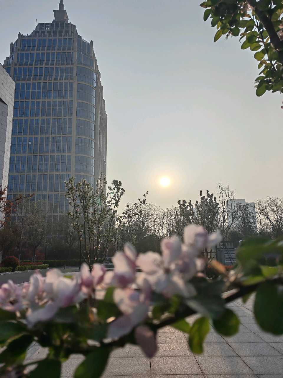 如梦令一一昨夜雨疏风柔（图3）
