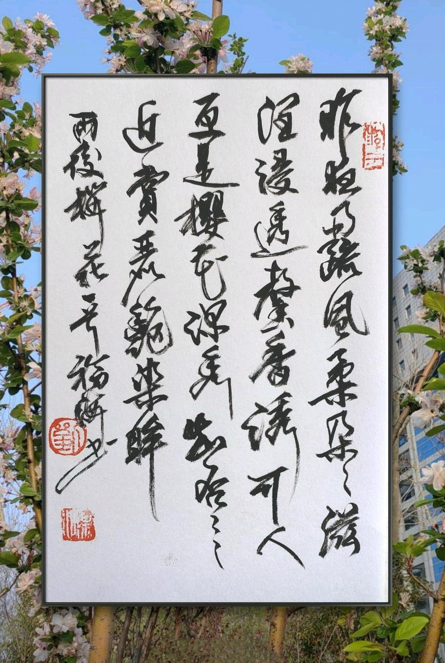 如梦令一一昨夜雨疏风柔
