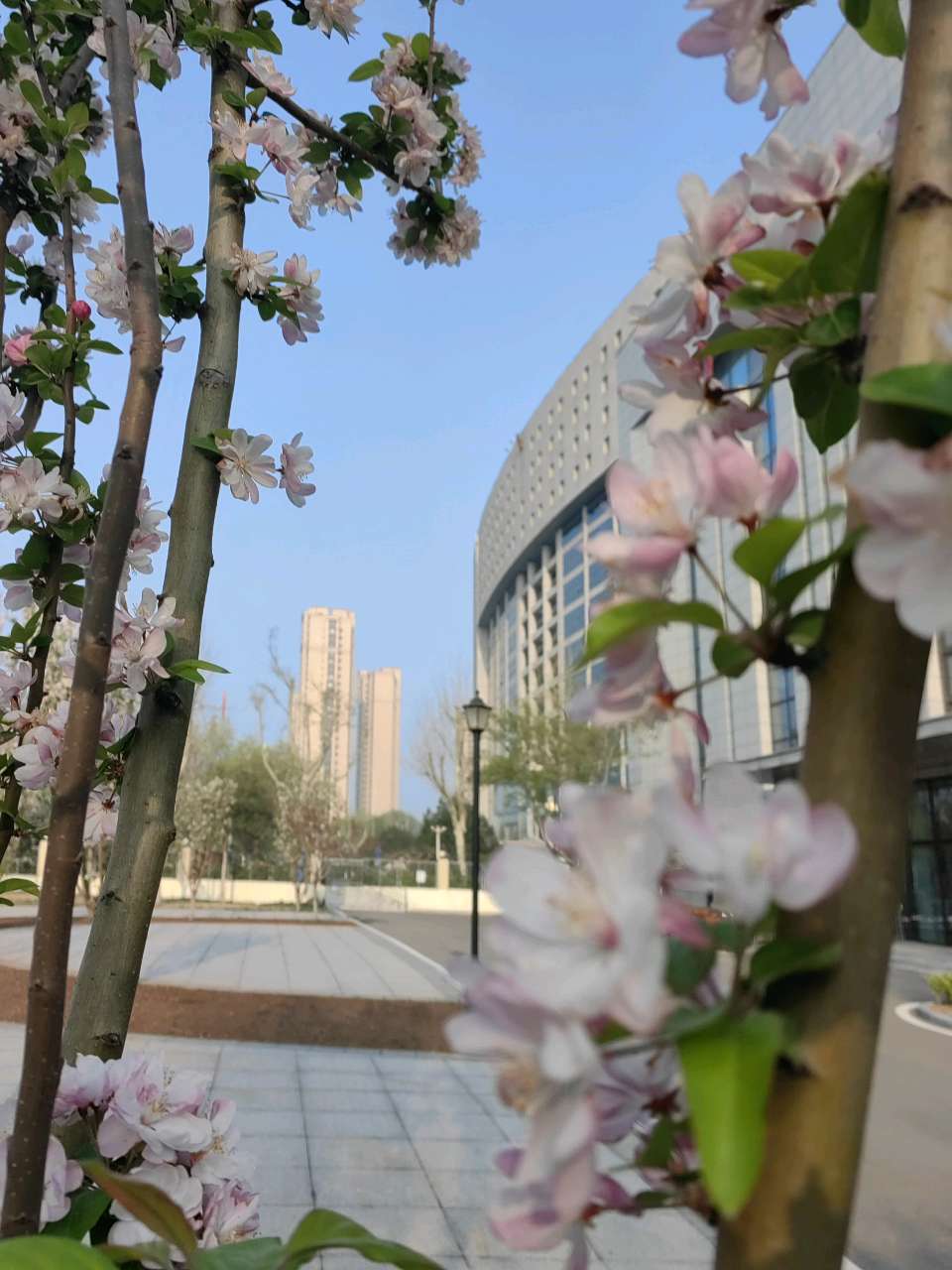 如梦令一一昨夜雨疏风柔（图10）
