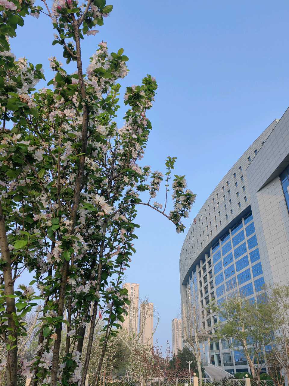 如梦令一一昨夜雨疏风柔（图5）