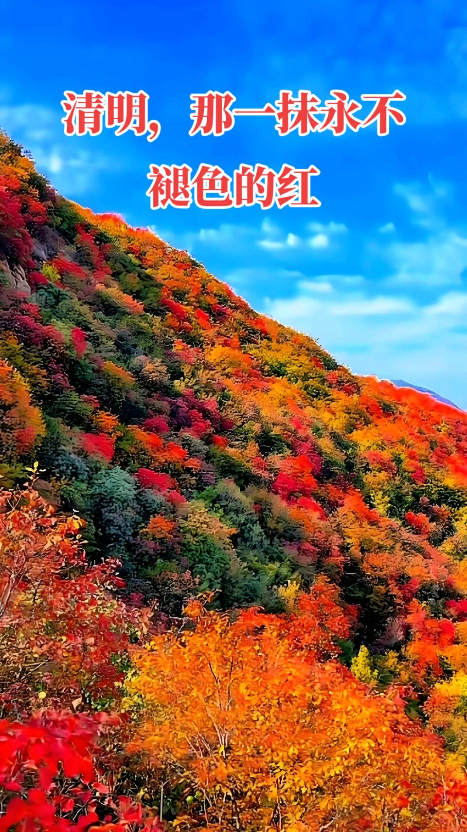 清明，那一抹永不褪色的红～刘军（江西）（图8）