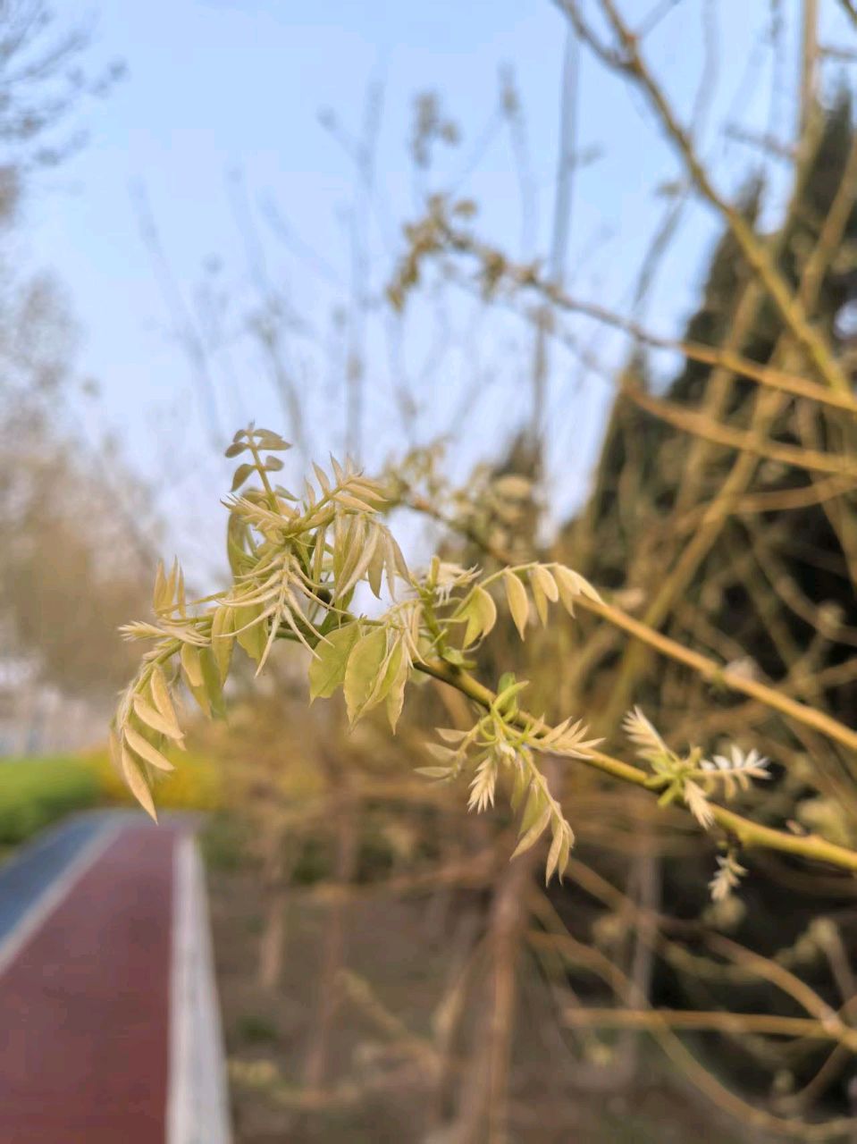 【故道文化·古风·8509】刘洪章《落花新绿》（图3）