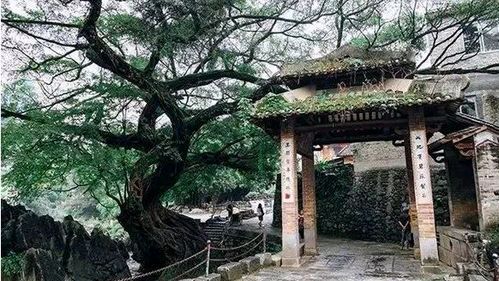 《苏州，青石苔里的印记》作者/天河 朗诵/朱风玲 主编/胡琴（图6）