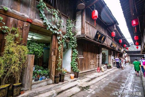 《苏州，青石苔里的印记》作者/天河 朗诵/朱风玲 主编/胡琴（图12）