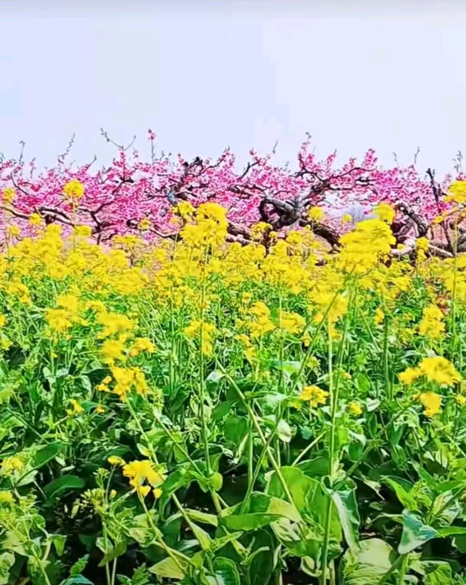 《岁岁又清明载载寄哀思》作者:李殿波 请您欣赏(图3)
