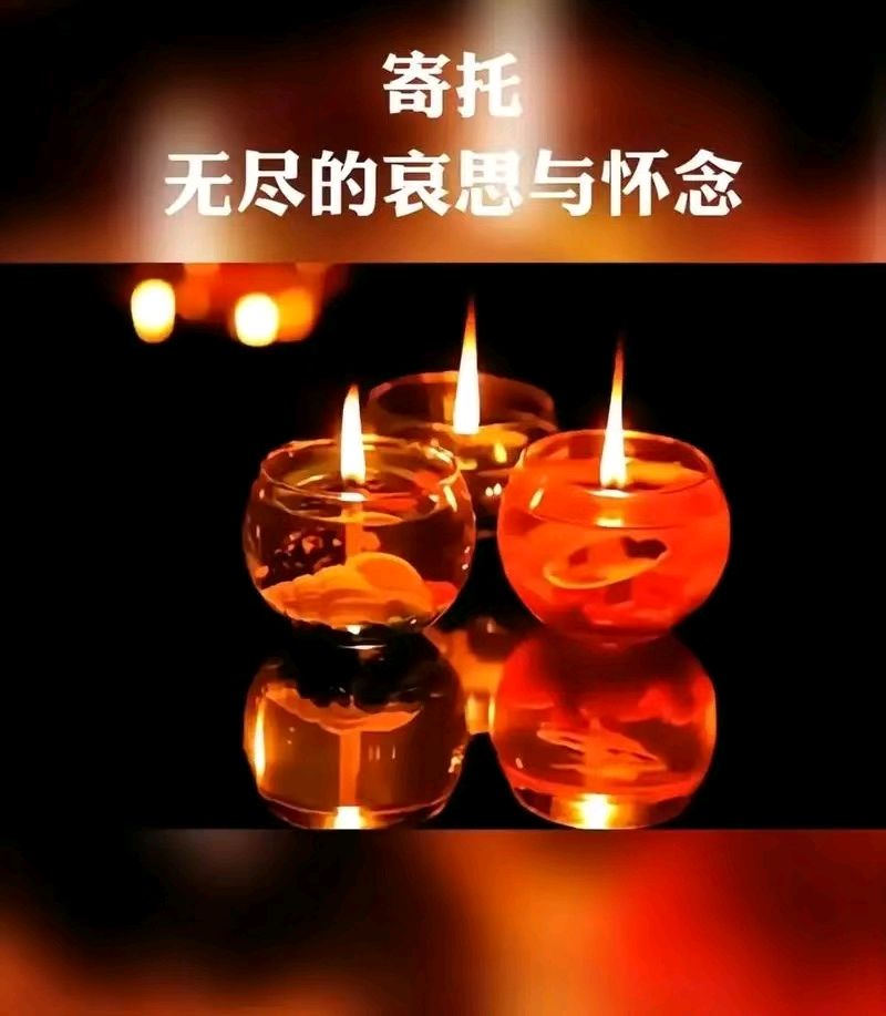 【荣耀中国】文学社*七律•清明亢仁才(山西)(图6)