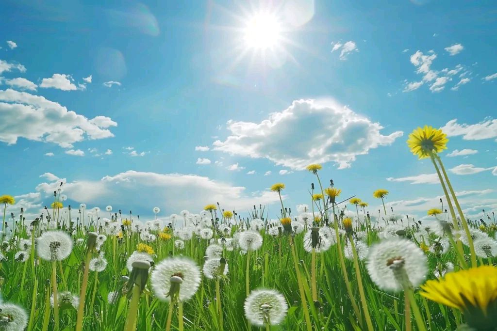 【明心文学】水川/百花争艳组诗（四）七律四首 主播/薇薇（图5）
