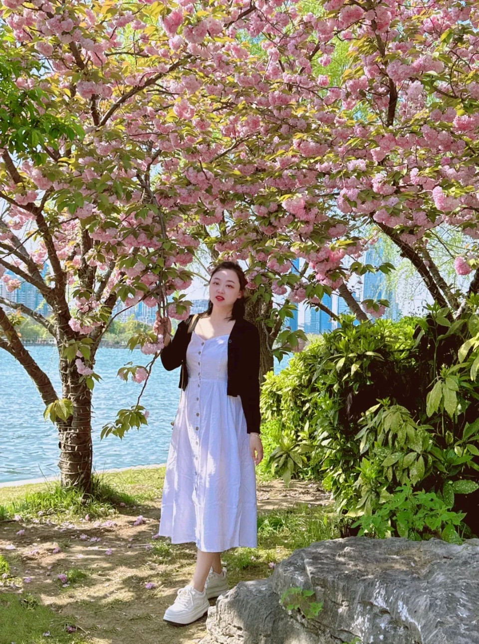 《春天的岸》作者：蓝天（三勾水）主播：涛声依旧【文化强国量子诗歌文化传媒】有声专刊（图5）