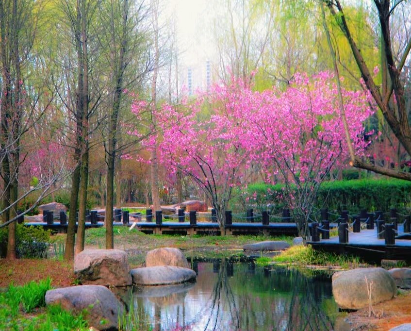 一路同行
