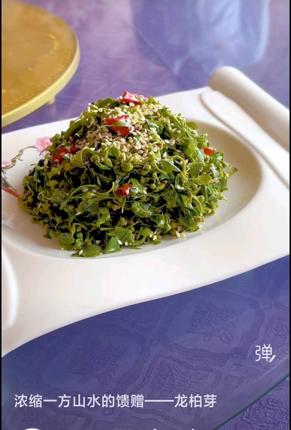 春天的温柔长满了枝头——龙蓓芽（图11）