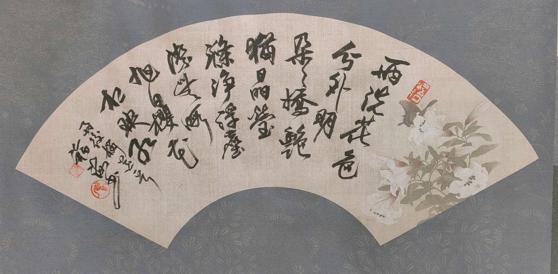 旭日樱花相映红🌸