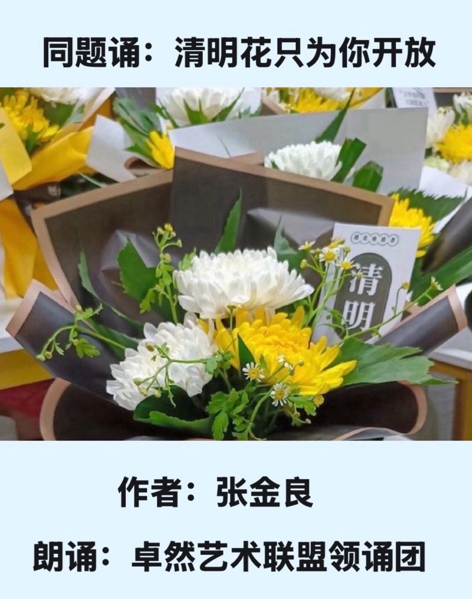 同题诵（上集）清明花只为你开放｜ 作者：张金良 朗诵：卓然艺术联盟领诵团（总2203期）（图19）