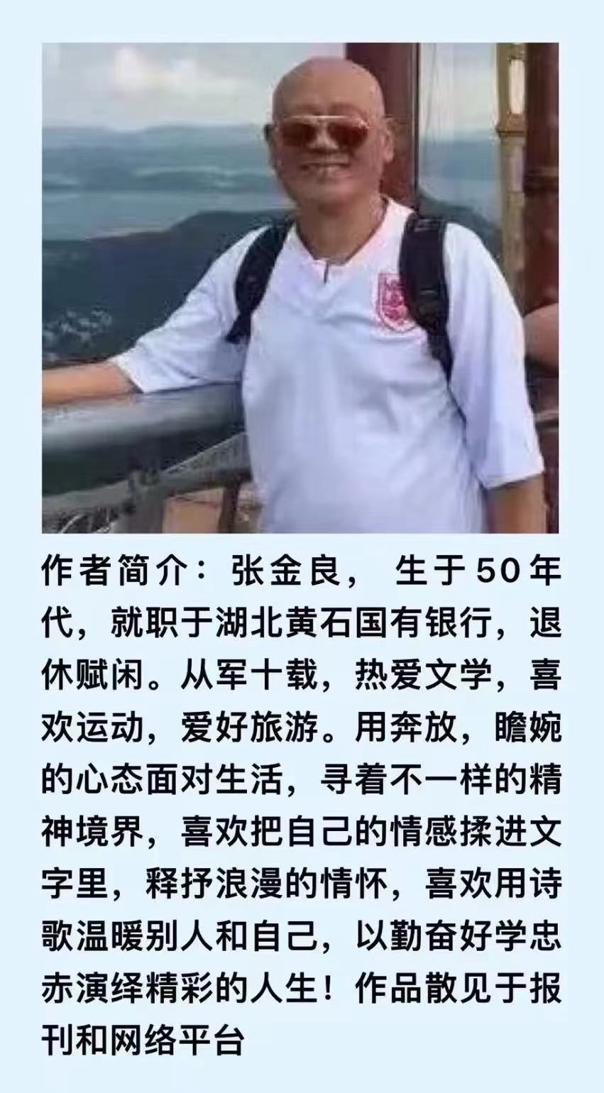 同题诵（上集）清明花只为你开放｜ 作者：张金良 朗诵：卓然艺术联盟领诵团（总2203期）（图22）