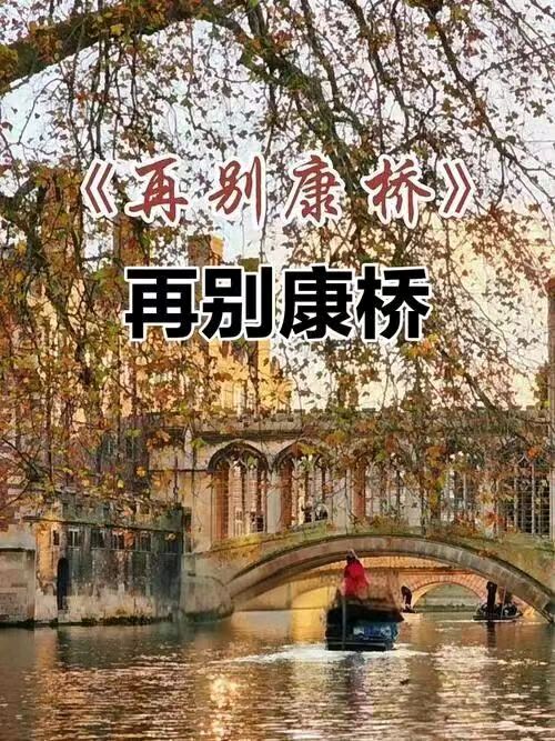 星月篇(57)，这分明是天意（图4）