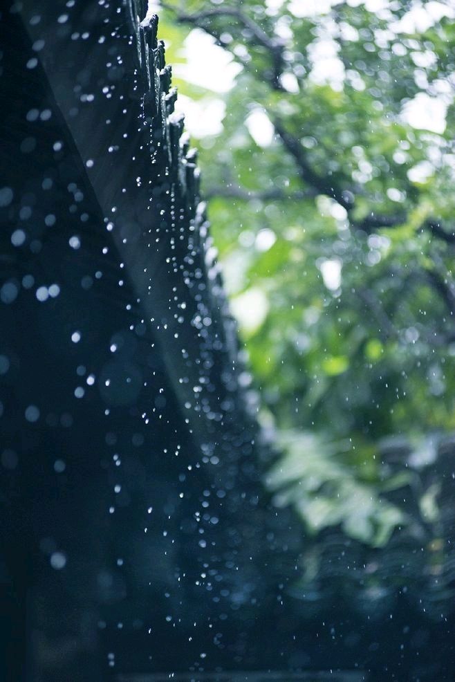 聆听 ‖ 任定安朗诵《一雨知春意》作者/石志华（图7）
