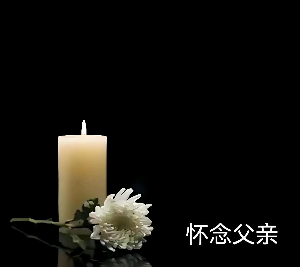 聆听 ‖ 杨秀辉朗诵《父亲的麦地》作者/阿紫（图5）