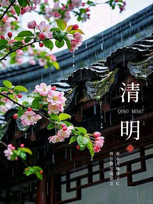 【共圆中国梦】会员诗歌(清明专辑)南京头条2026(图3)