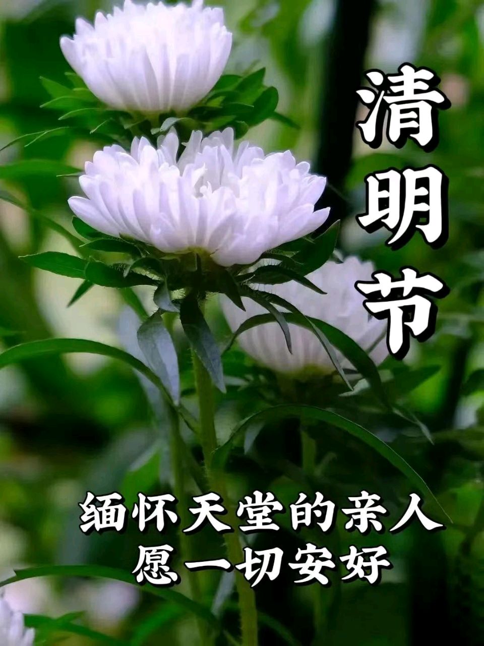 【荣耀中国】文学社*寒食节（新韵）李俊清（甘肃）（图5）