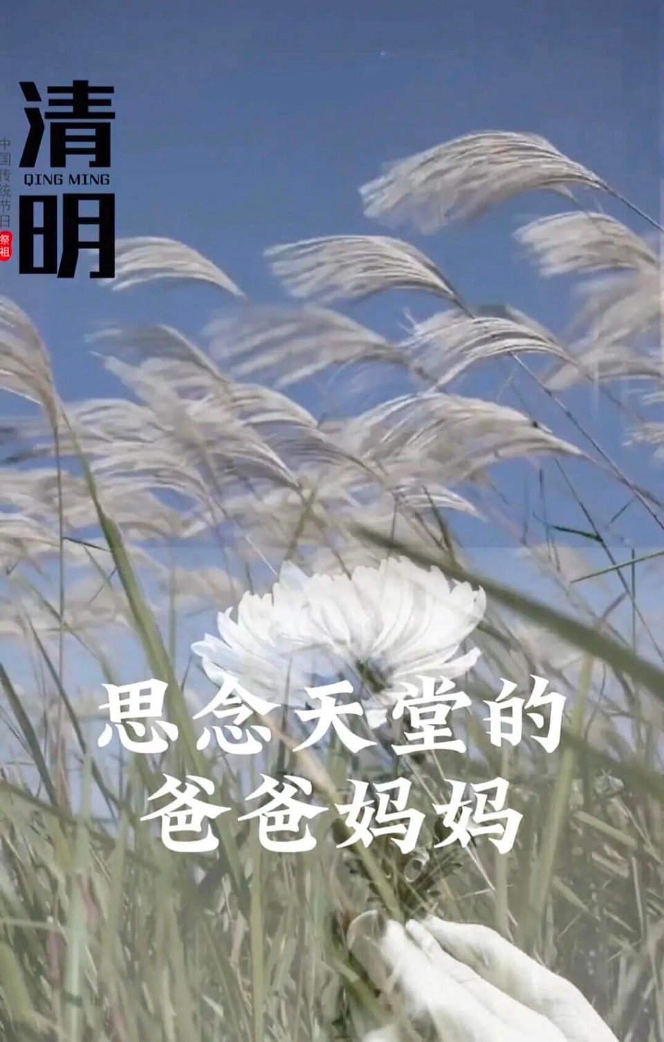 爸爸，妈妈，你们在天堂还好吗？作者不病不伤（图8）
