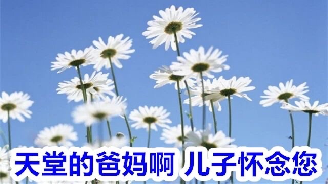 爸爸，妈妈，你们在天堂还好吗？作者不病不伤（图3）