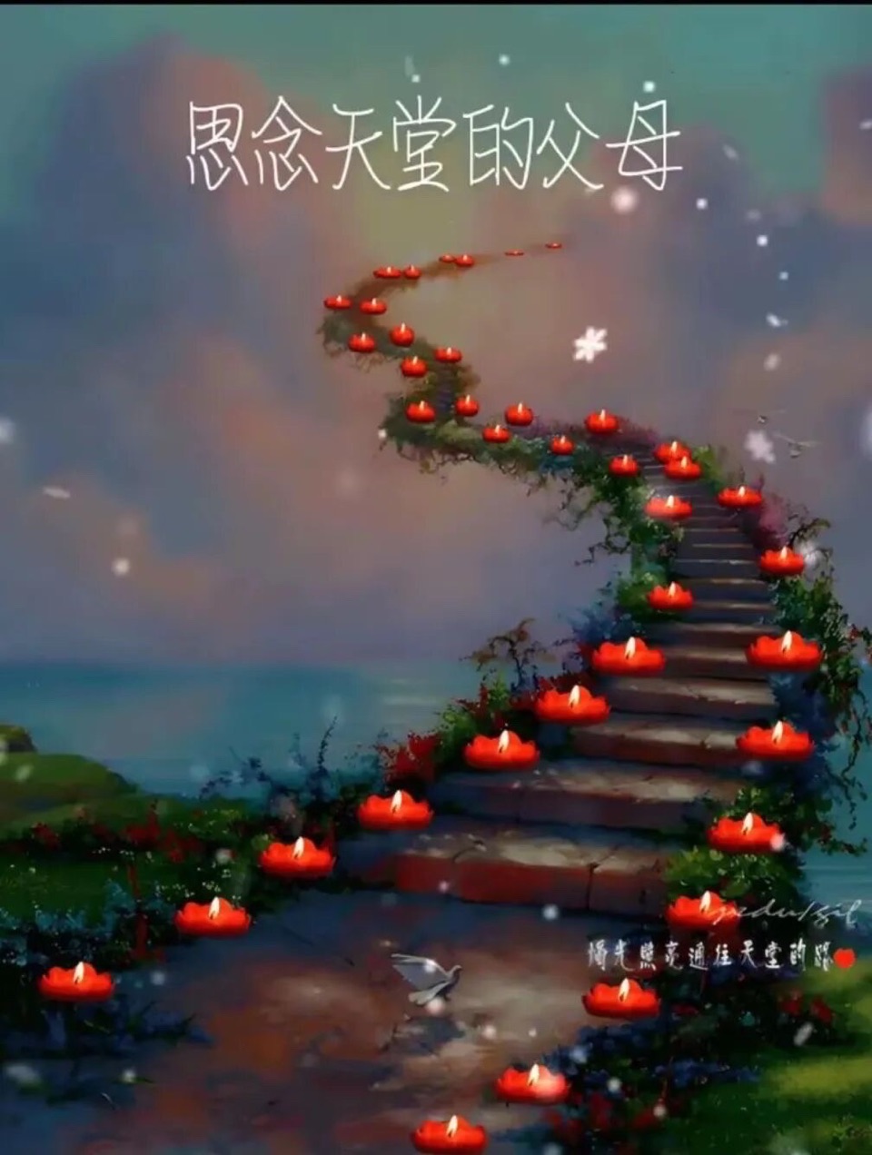 爸爸，妈妈，你们在天堂还好吗？作者不病不伤（图9）