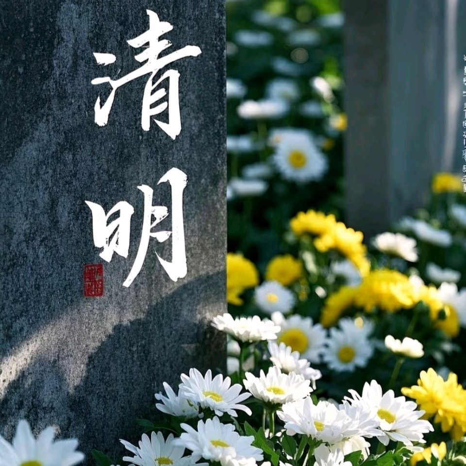《九江文学社：北京头条》缅怀先烈，祭祖追思——丙午清明节专刊（图14）